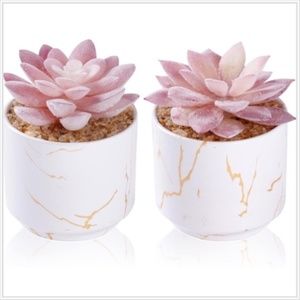 Artificial Plants and Succulents in 2 set White Ceramic Pots